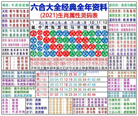 2024属相|2024年生肖表完整版图 2024年生肖表完整版图片